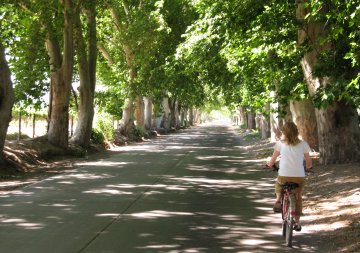 Bike wine tour in Maipú