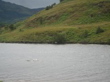 Ripples in Loch Morar