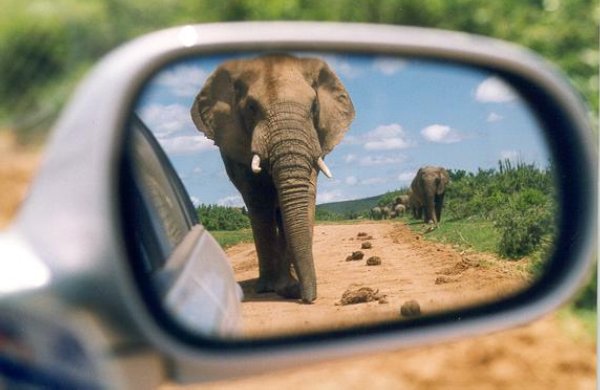 Addo Elephant Park, South Africa