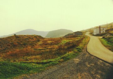 Newfoundland scene