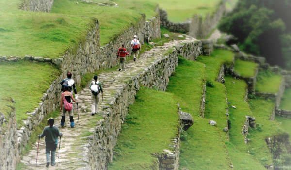 Machu Picchu hikers