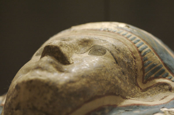 Petrie Museum