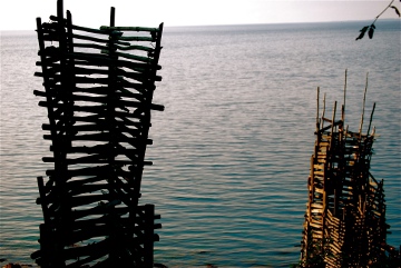 Nimis, Ladonia
