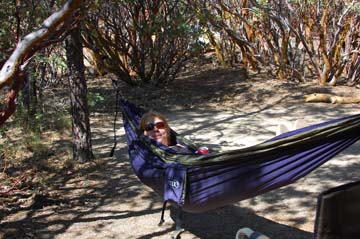 Hammock