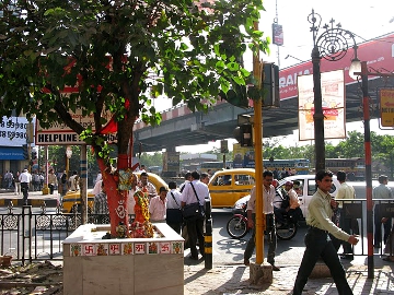 Park St. Pipal, Calcutta
