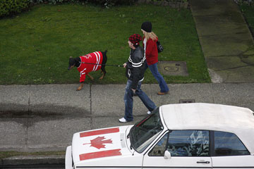 Canadian dog and car