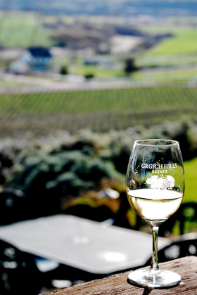 Napa vineyard
