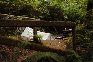 Redwood NP Campsite