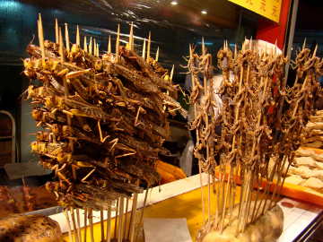 Scorpions on a stick
