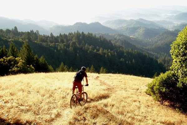 Mountain bike, Napa Valley
