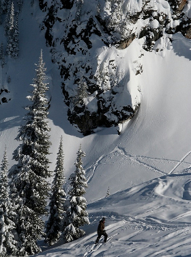 Revelstoke powder
