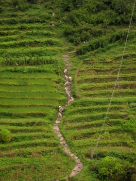 Chomrong stairs, Nepal