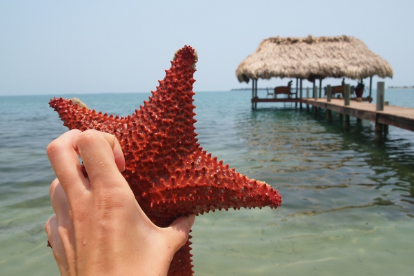 Placencia beach scene
