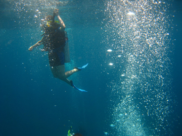 Diving in Placencia, Belize