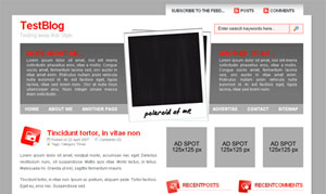 Polaroid wordpress travel theme