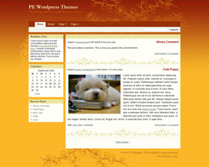 Oriental wordpress travel theme