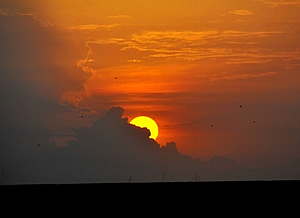 Sunset