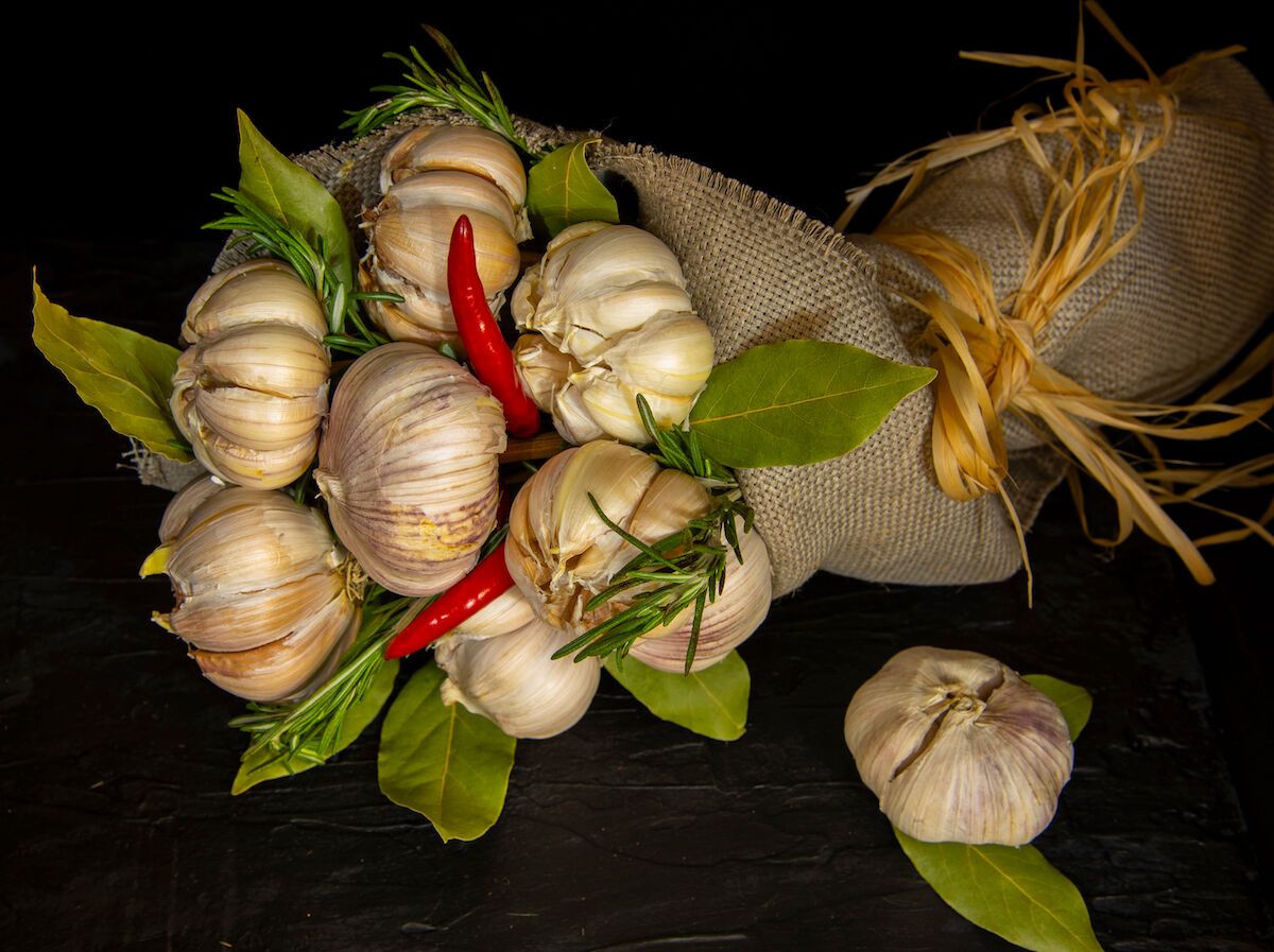 How to Protect Yourself From Vampires Around the World