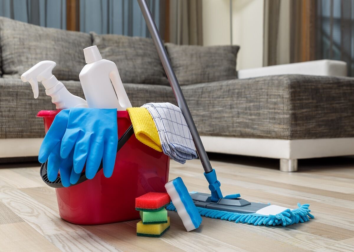 Avoiding Household Dangers: An Interview With the Queen of Clean ...