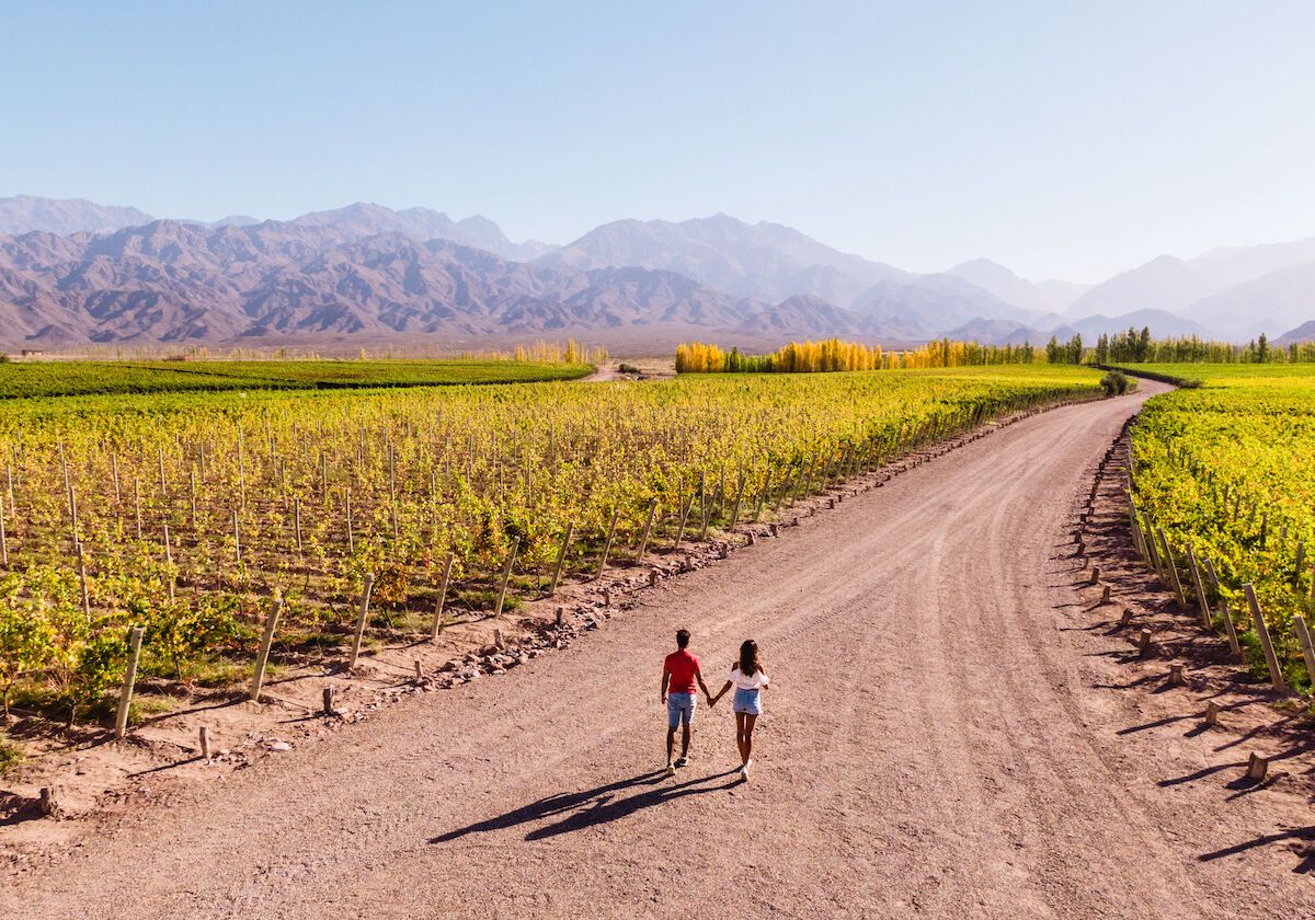 bikes-and-wine-in-mendoza-argentina