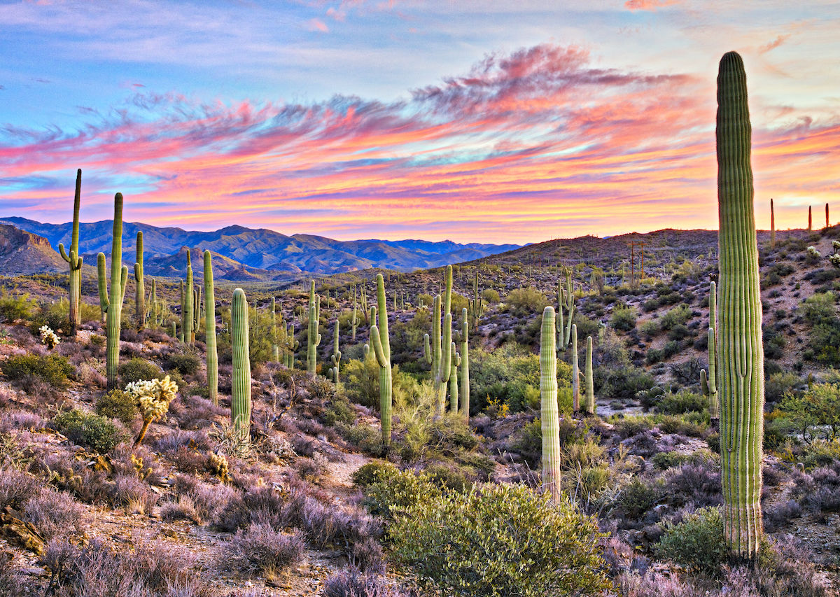 Arizona Travel Guide Everything You Need To Know About Visiting Arizona