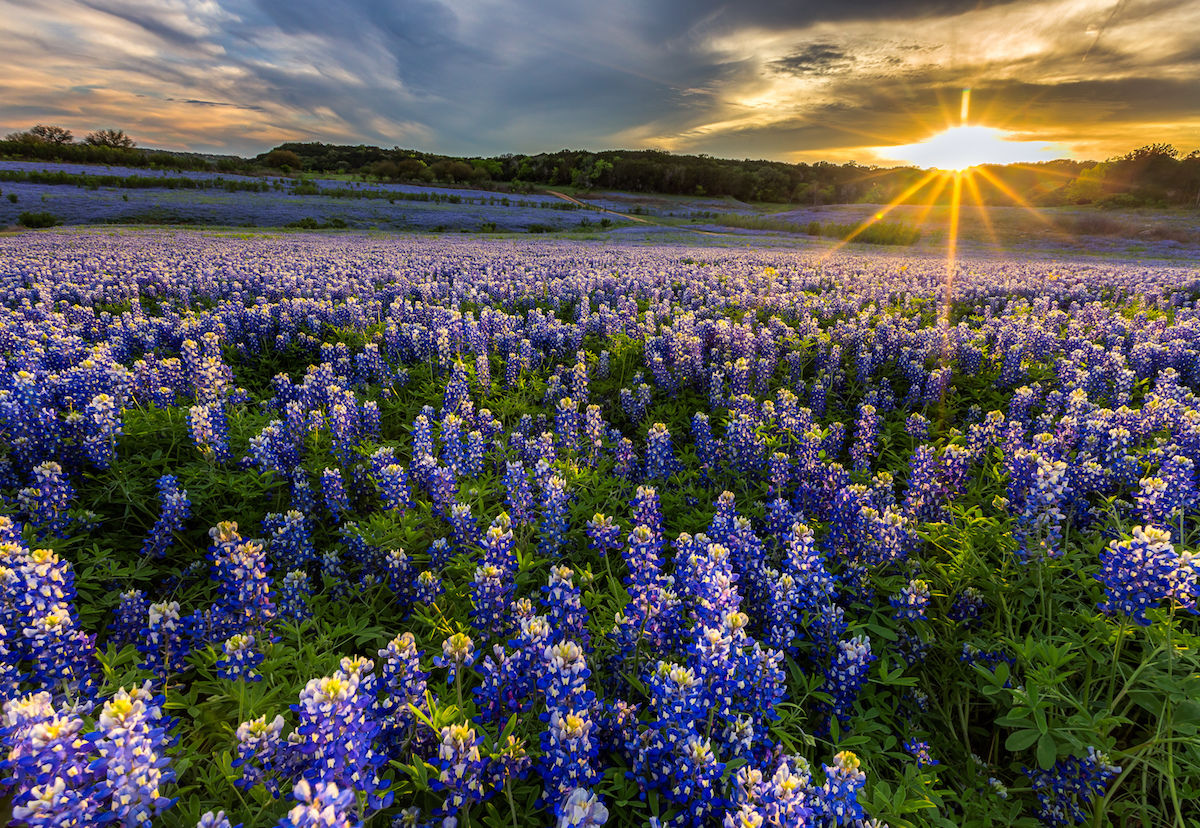 Texas travel guide: Everything you need to know about visiting Texas