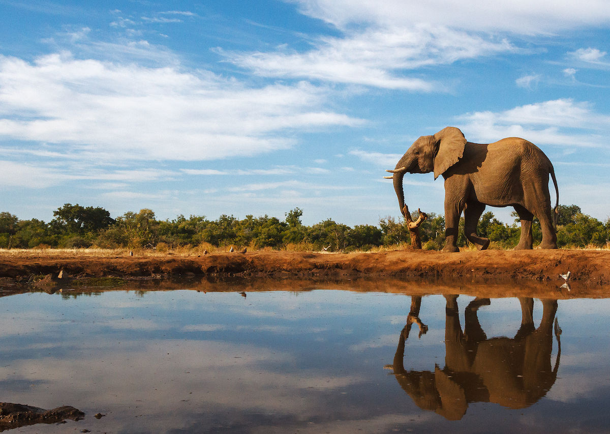 2025 Botswana Travel Guide - Matador