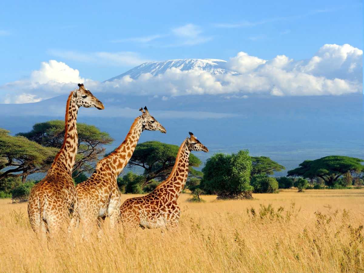 can you travel to kenya right now