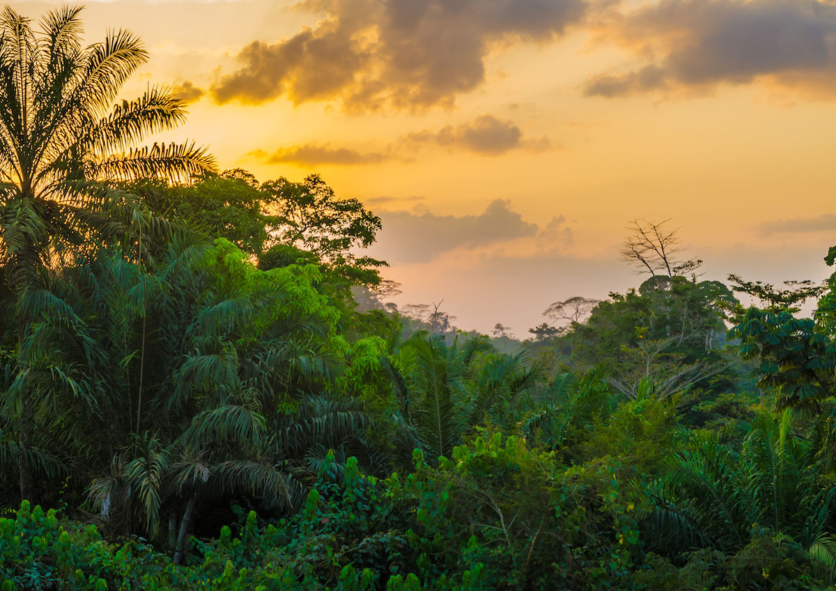 2025 Liberia Travel Guide - Matador