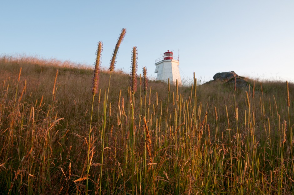 Photo essay: Wildlife and culture on Grand Manan Island 