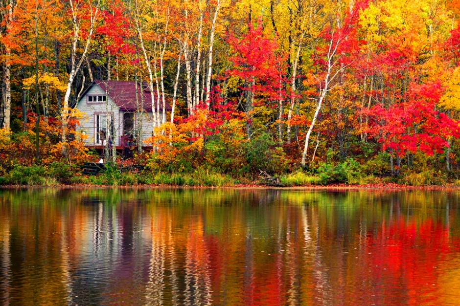 Forget New England Fall Foliage In New Brunswick Canada