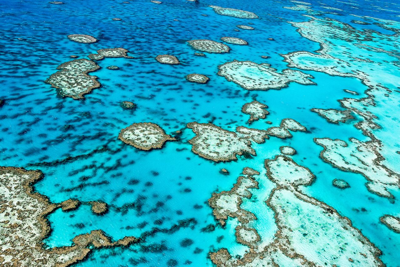 Great Barrier Reef in Queensland, Australia natural wonders