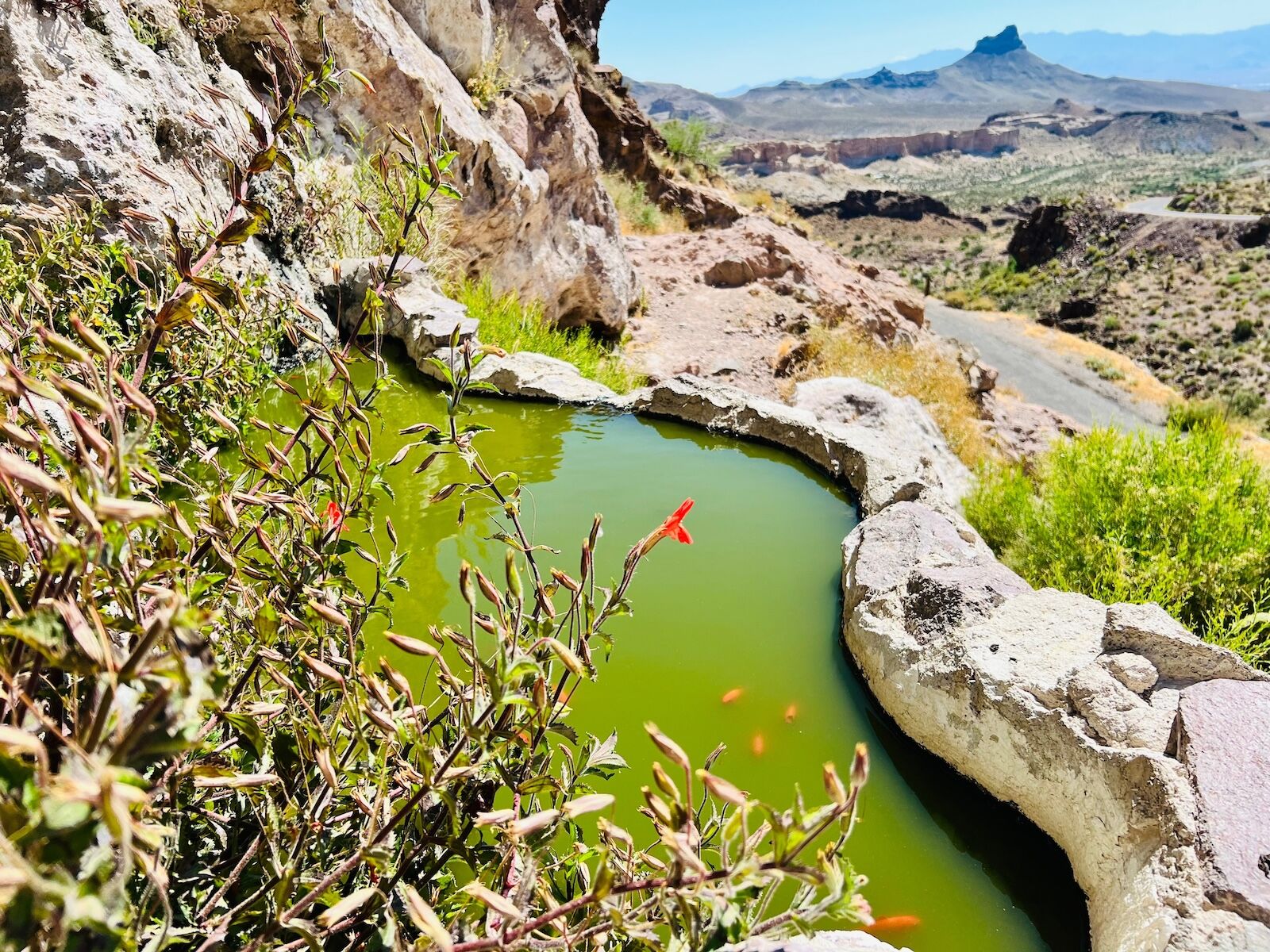 roadside attractions on route 66 - fish bowl
