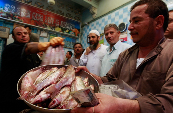Egyptians Risk Their Lives Eating This Dangerous Delicacy