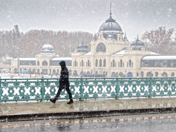 Budapest christmas markets: when they start & what not to miss 53 Image