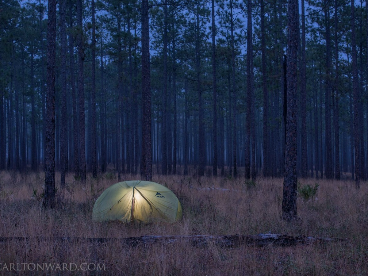 There Is a Rugged, Spectacular Corridor Across Florida That Almost ...