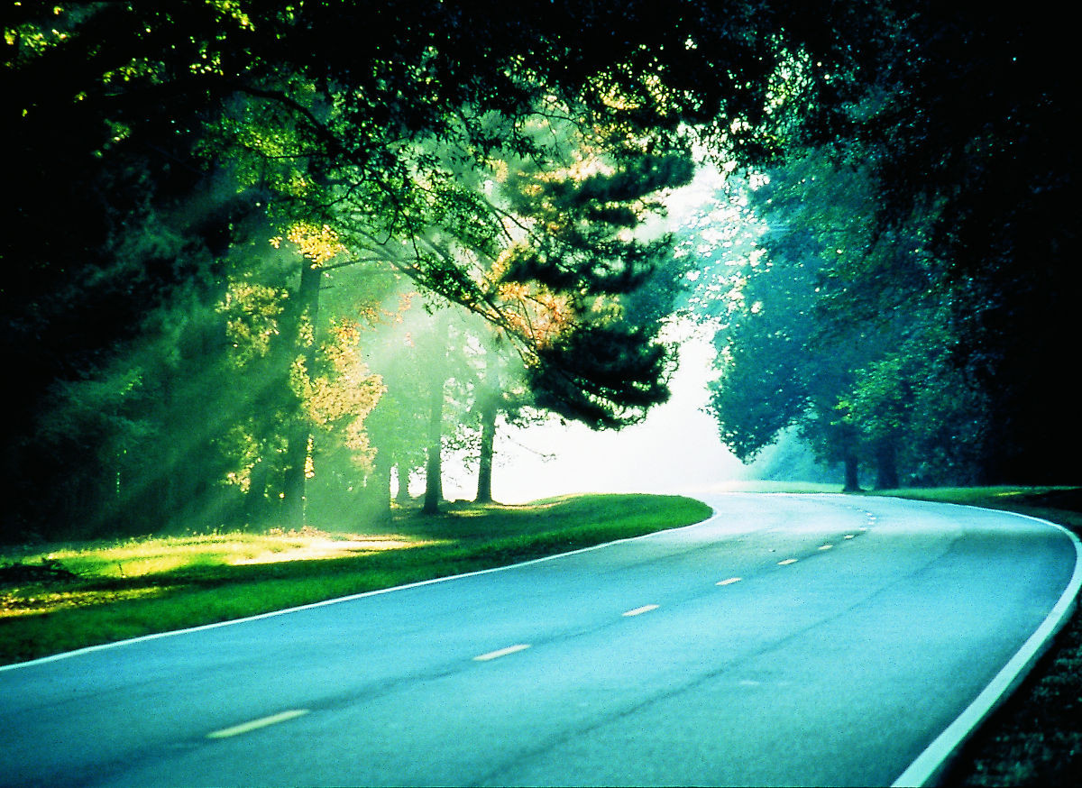 10 Surprising Facts About Tupelo, Mississippi