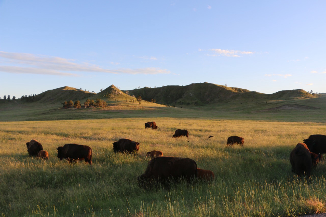 If You Ever Come To Western Nebraska Matador Network<script async src=