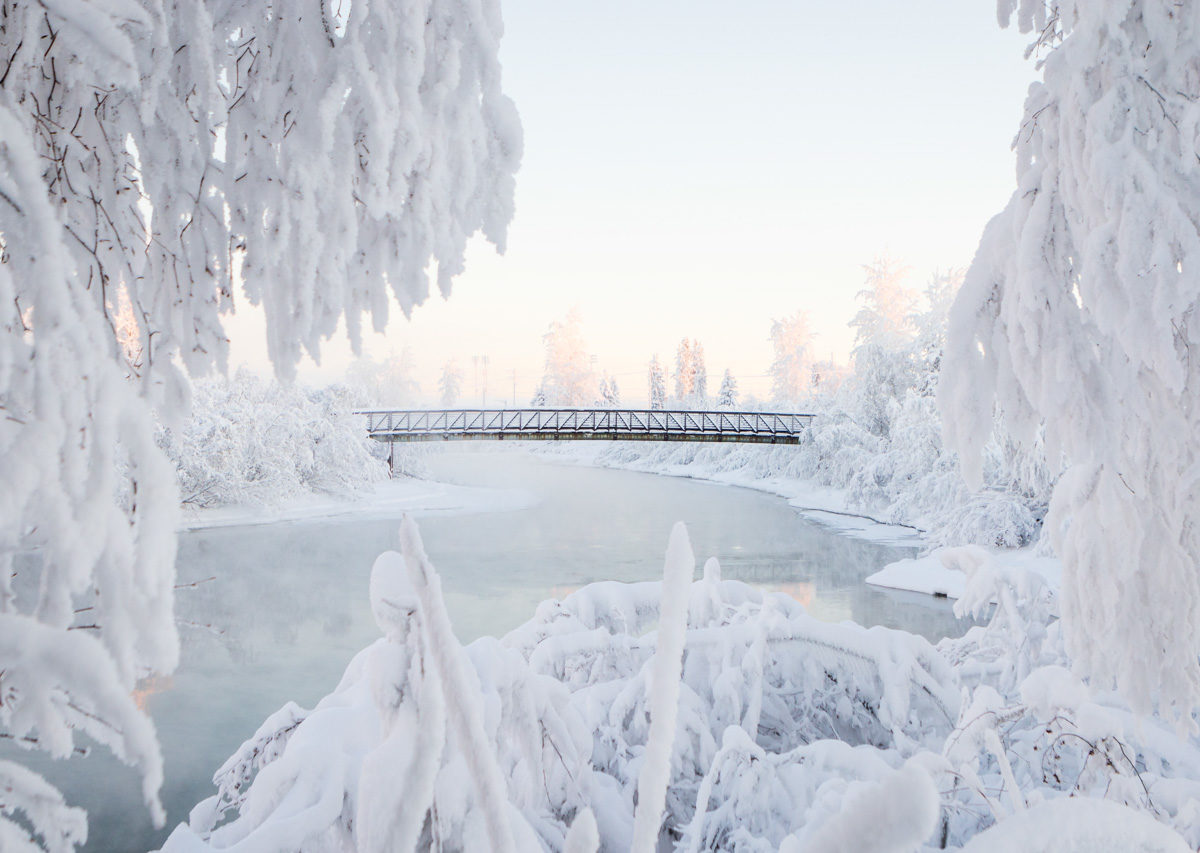 18 Stunning Images From Winter in Fairbanks, Alaska ...