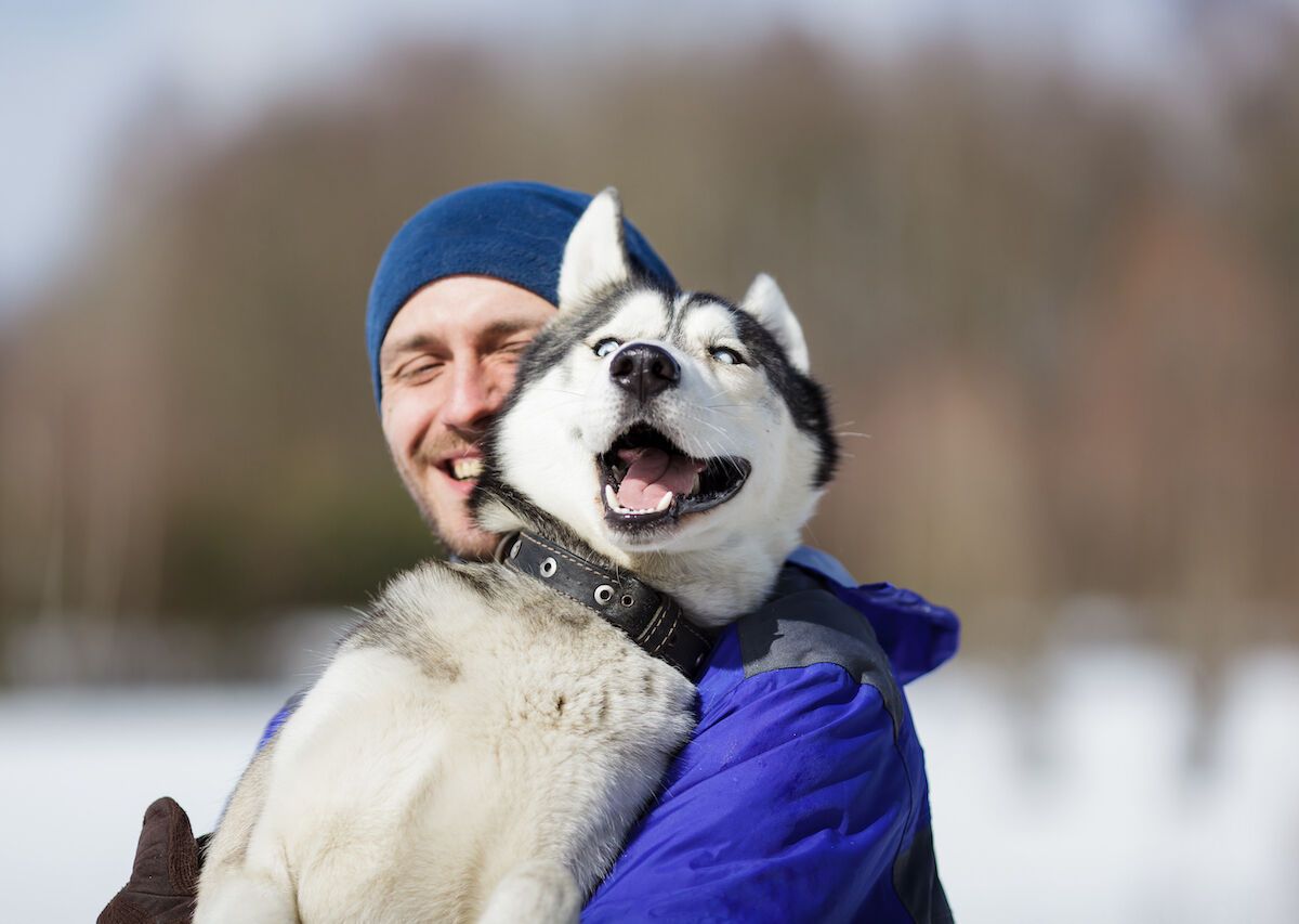 Getaway Couple - Video Husky