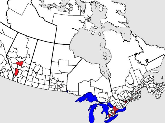 canada population density map