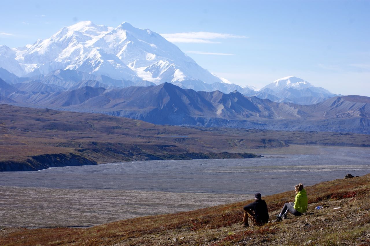 when can you visit denali national park