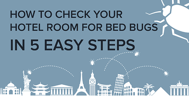 how-to-check-your-hotel-room-for-bed-bugs-infographic