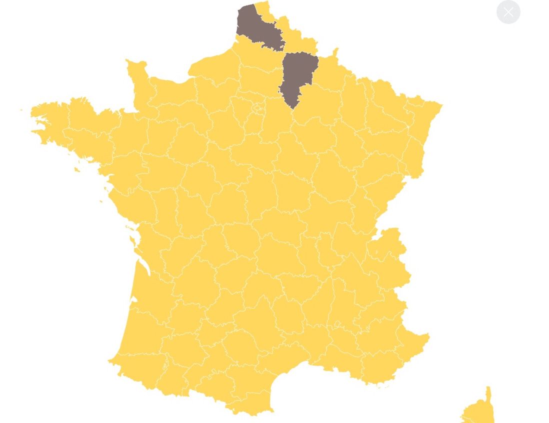 Check Out How The French Voted In The Last Presidential Election