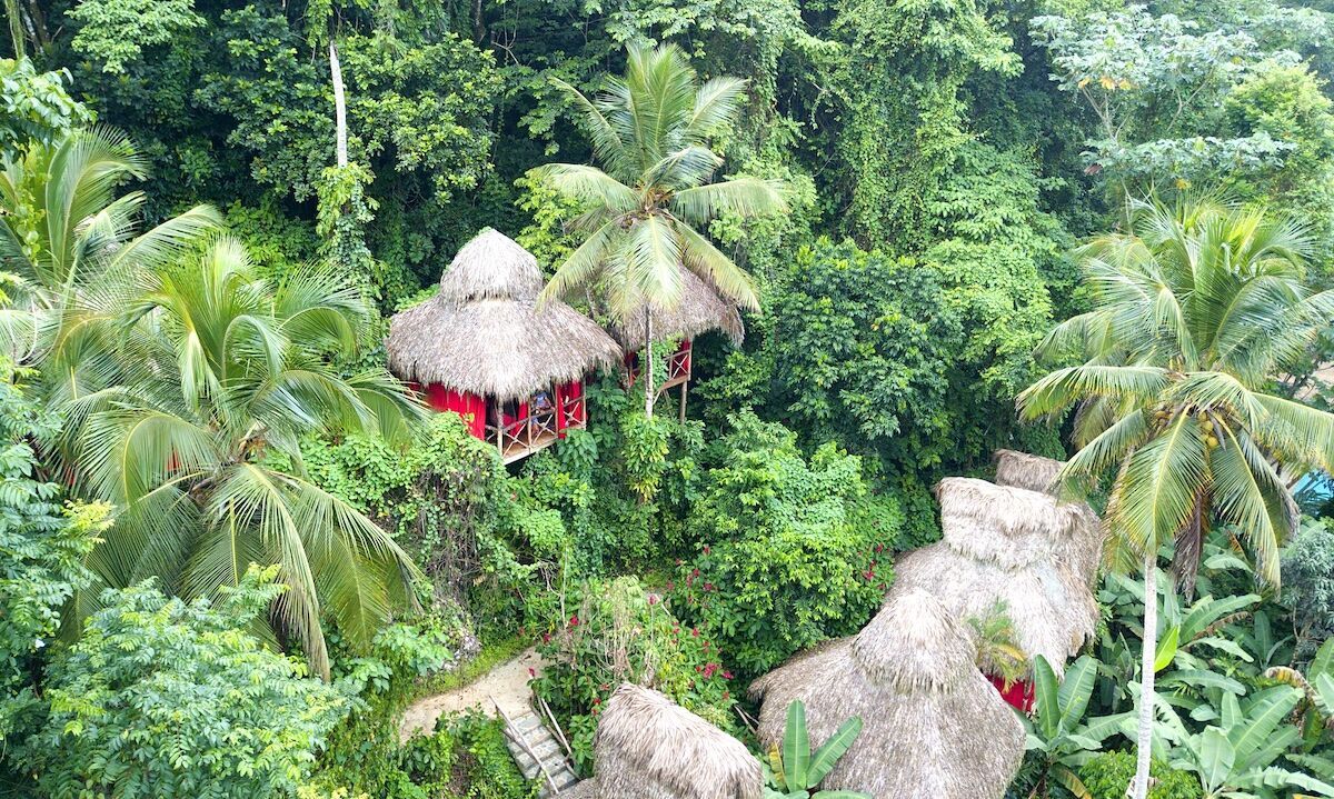 The Dominican Tree House Village a Video Journey Into the Experience