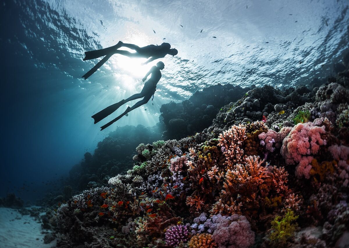 Here Are Some of the World's Most Impressive Underwater Environments