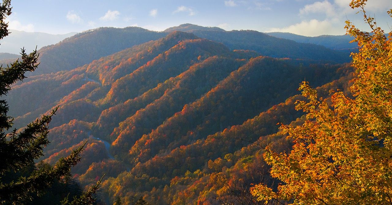 Pigeon Is One of America’s Top Fall Destinations. Here’s Why.