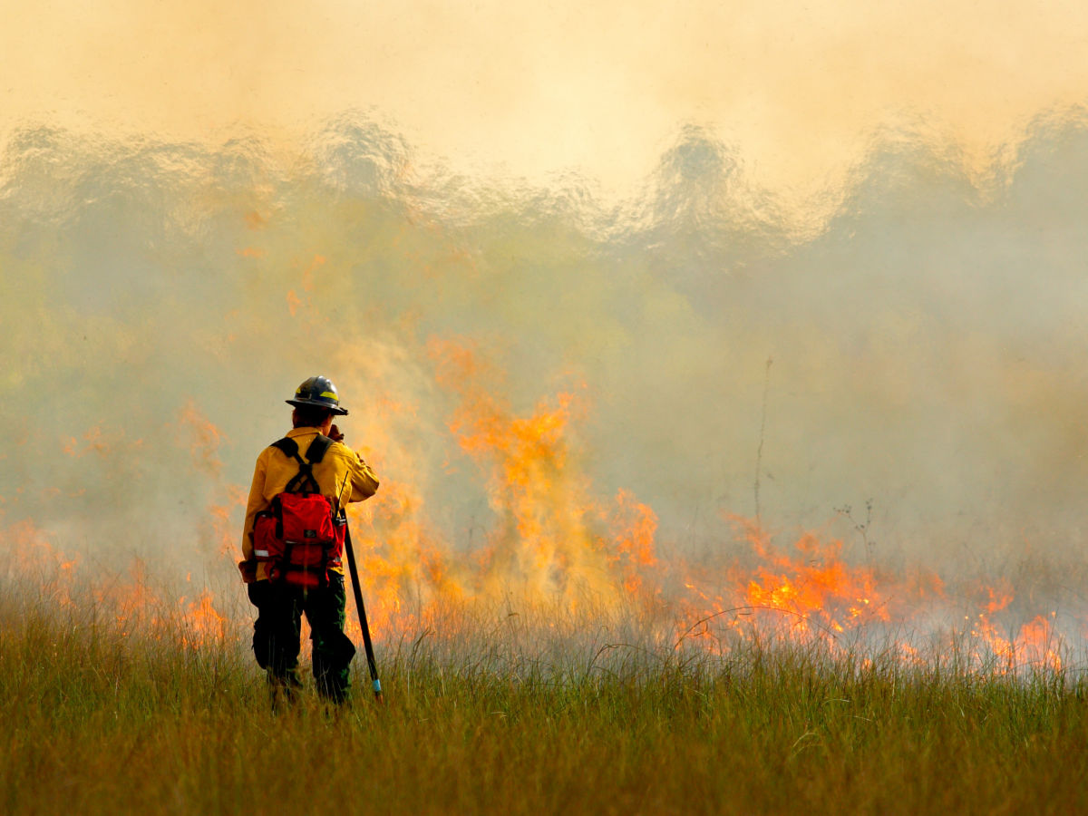 usatoday california breweries camp fire usatoday california breweries camp fire