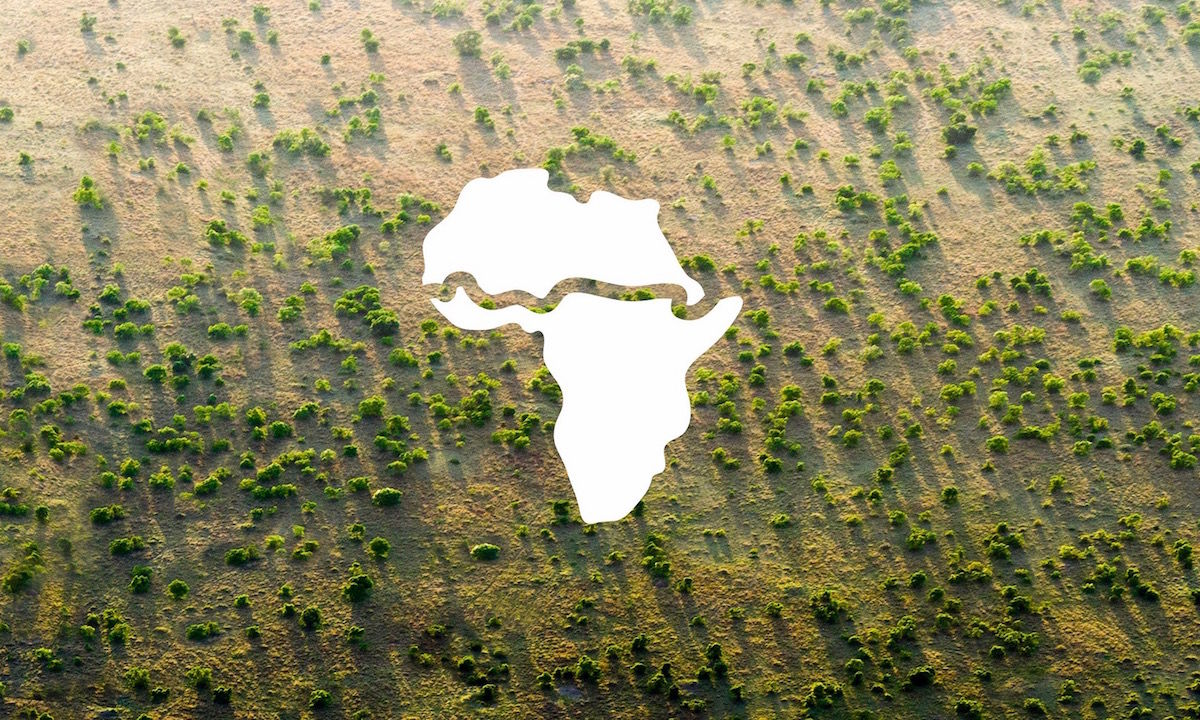 The Great Green Wall Of Africa Will Stop Desertification