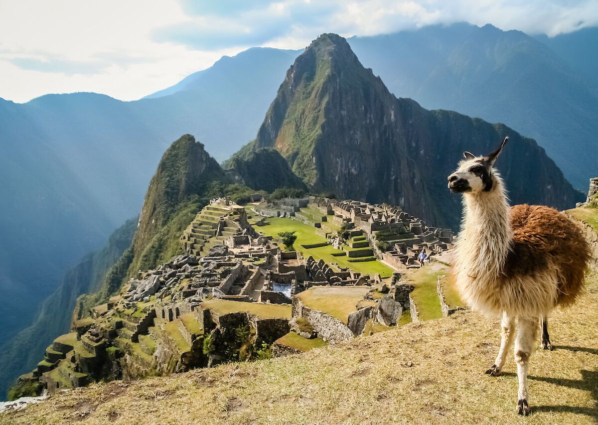 Everything You Need To Know Before Hiking Machu Picchu - Llama In Front Of Inca Town Machu Picchu Peru Hiking 1200x853